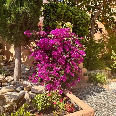 Loma Alta - Grotwoning Met Prachtige Tuin En Prive Zwembad * La Murada